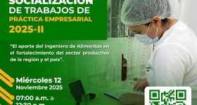 VIII Jornada de socialización de trabajos de Prácticas empresariales